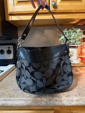 Coach Zoe Large Hobo Bag
